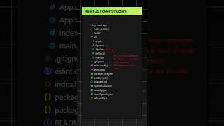 Understanding React Folder Structure for Beginners