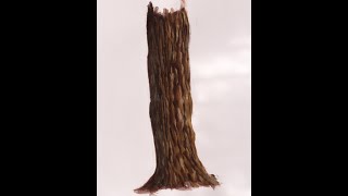 how to paint a tree trunk in acrylics