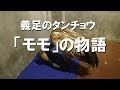 義足のタンチョウ「モモ」の物語 の動画、YouTube動画。