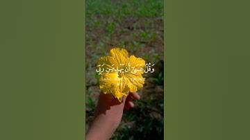 قران كريم راحه نفسيه ❤️✨       القارئ جابر القيطان❤️✨ #قرآن #راحة_نفسية #اكسبلور #لايك