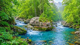Flying: Relaxing Sleep Music for Meditation, Stress Relief & Relaxation By Praded screenshot 4
