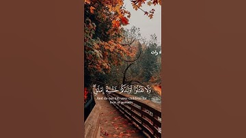#تلاوة_خاشعة #بصوت #القارئ #ياسر_الدوسري #quran #اكسبلور #explore