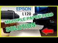 EPSON L120 MULTIPLE PAPER FEED SOLUTION