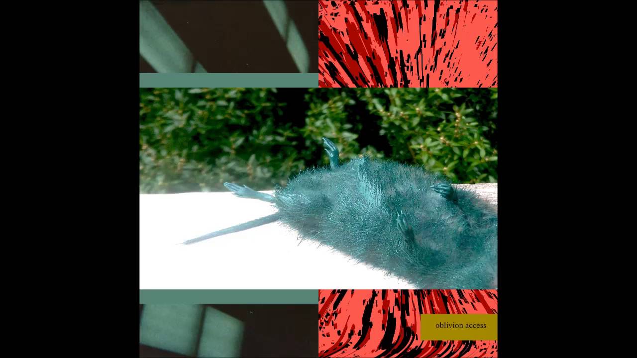 Lil Ugly Mane - Oblivion Access [Full Album]