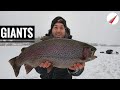 Ice fishing for giant rainbow trout