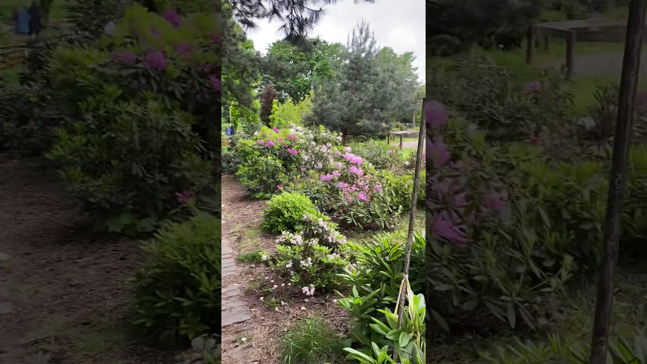 Киев сад питомник