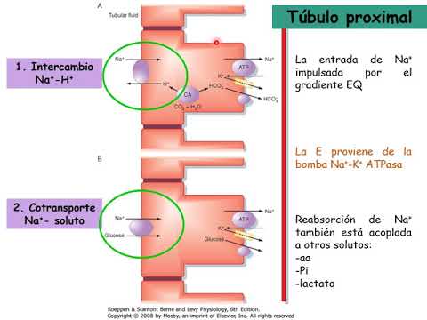 Vídeo: Què és la inspecció tubular?