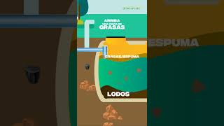 How Does A Septic Tank Work septicsystem septictank