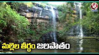 Mallela Theertham Waterfalls Attracts Tourists V6 News