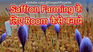 How to Start Saffron Farming in Room | kesar ki kheti | #saffronfarming  @DurgeshProjects