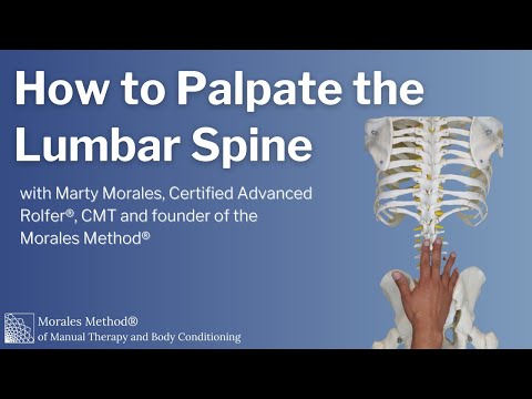 How to Palpate the Lumbar Spine