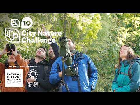 The 2025 City Nature Challenge April 25-28 #nhmla #bioblitz #naturephotography