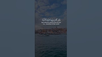 #عبدالرحمن_الماجد #تلاوات #آيات #القرآن_الكريم #قرآن #قران_كريم #قران #تلاوة_خاشعة #القرآن #quran