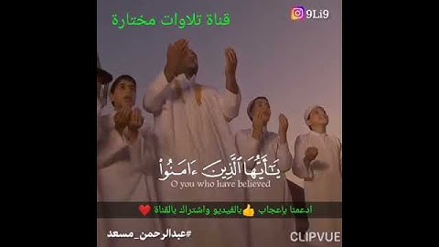 عبدالرحمن مسعد حالات واتساب||من سورة الحج(يا ايها الذين آمنوا اركعوا واسجدو وافعلوا الخير لعلكم..)🌹