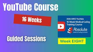 YouTube Guided Course Week 8