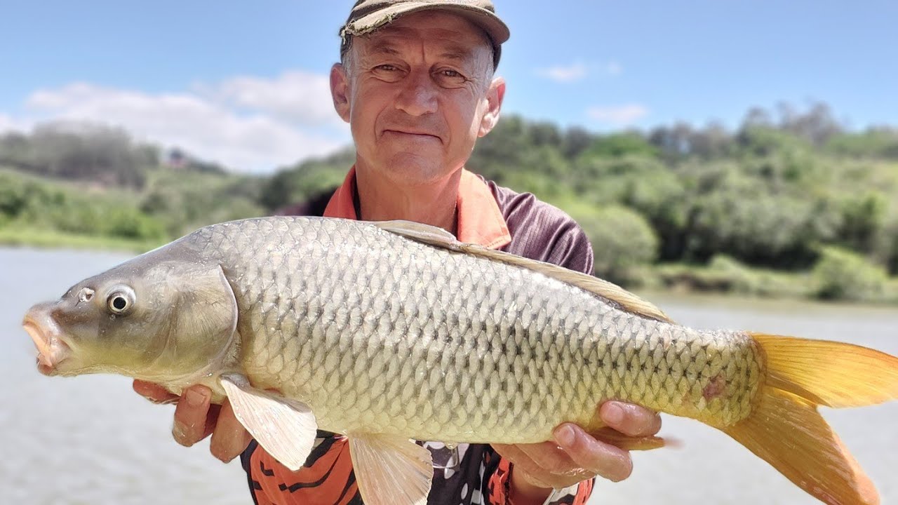 105: Tips en Dips Magic Carp baits - YouTube