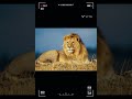 National Animals of All Countries 😍..