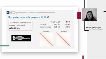 N. Guiglielmoni, "Hic2gfa: phasing assembly graphs with chromosome conformation capture"