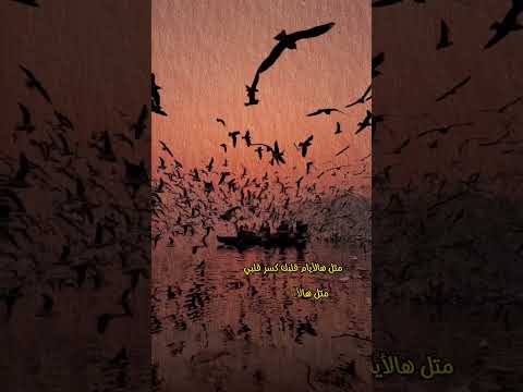 ياريت اليسا هالايام قلبك كسر قلبي تصميم انستغرام تيك توك قهوة ترند طيور يرجع الماضي