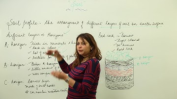 MUST SEE VERY IMPORTANT CBSE CLASS 7 SCIENCE l CHAPTER 9 - SOIL l soil profile l L38