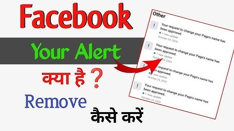 What is Your Alerts on Facebook? What is Facebook Community Standards on Spam and how to remove it?