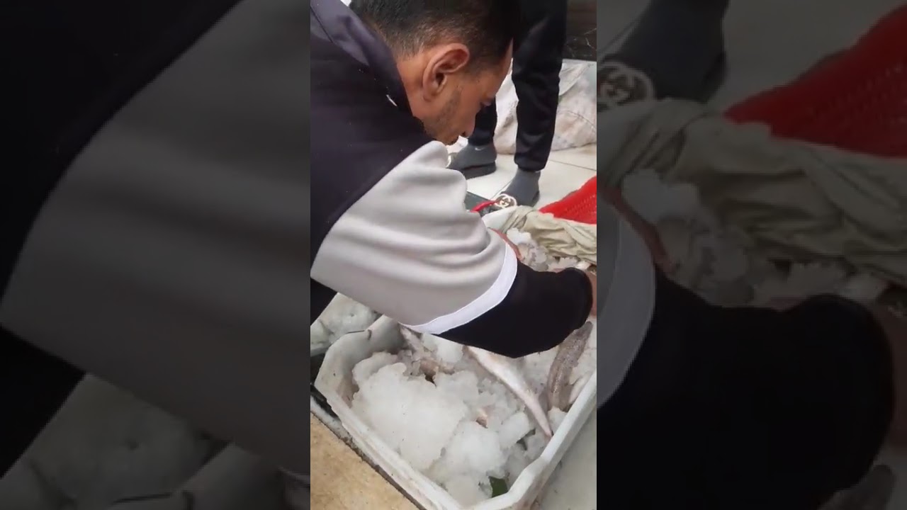 الأسماك تتصدر مائدة الإفطار في الشرقية.. أسعار مختلفة والسمك على كل شكل ولون