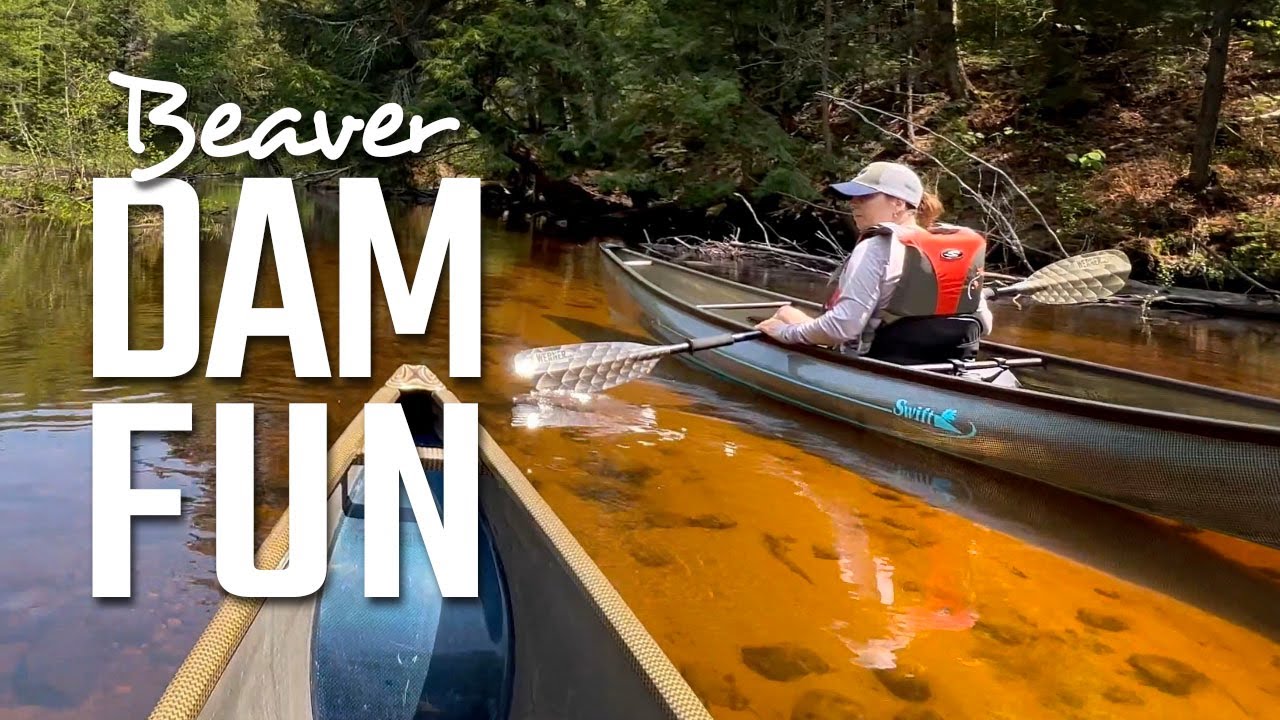 Adirondack Canoe Adventure Paddling Rollins Pond to Floodwood Pond