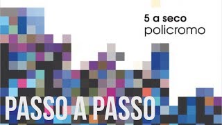 Video thumbnail of "5 a seco - passo a passo - policromo (áudio) [OFICIAL]"