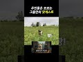 세계 최초 강아지 문철 컨텐츠 - 진문철TV [팟개스트 ep.37]