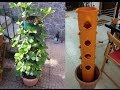 Strawberry tower tube culture