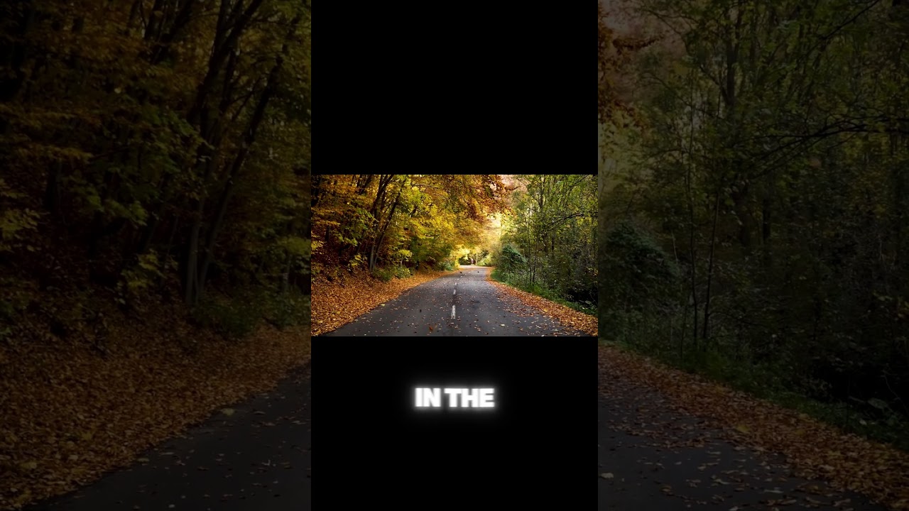 SMALL STEPS, BIG ACHIEVEMENTS: THE JOURNEY OF SUCCESS 