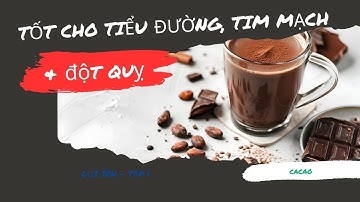 Lợi Ích Của Cacao - Cách Làm Socola Sữa Cho Người Tiểu Đường & Tim Mạch.