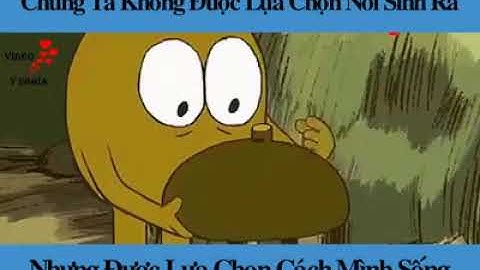 Chúng ta không được chọn nơi sinh ra...  ...