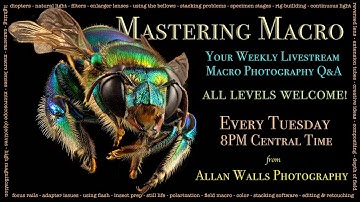Mastering Macro Photography - Week 1 - 8/16/22