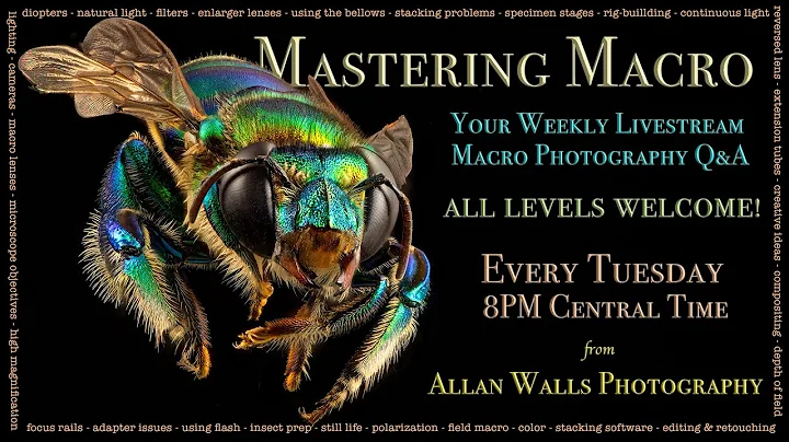 Mastering Macro Photography - Week 1 - 8/16/22