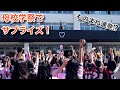 【モニタリング】母校の学祭にサプライズ登場したら想像の100倍盛り上がった...!!!