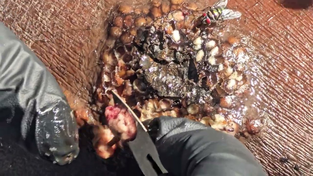 Peter's final dejiggering - Day One #3 - see long videos @ riseupsociety.net & ruskenya.org