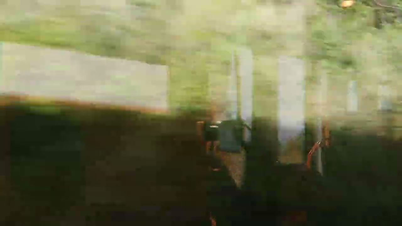 Возвращение в La Roche-sur-Foron