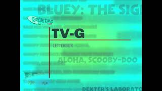 [CANCELLED] Boomerang - Summerang Theater Rated TV-G Warning Letterboxed variant (2025; FANMADE)