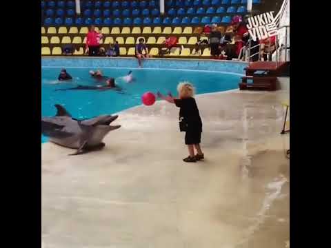 Yunus balığının çocuk ile oynaması