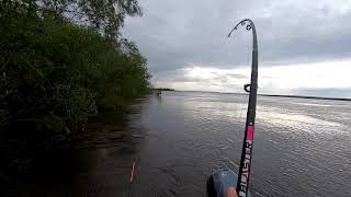 На сома  В любую воду  В любую погоду