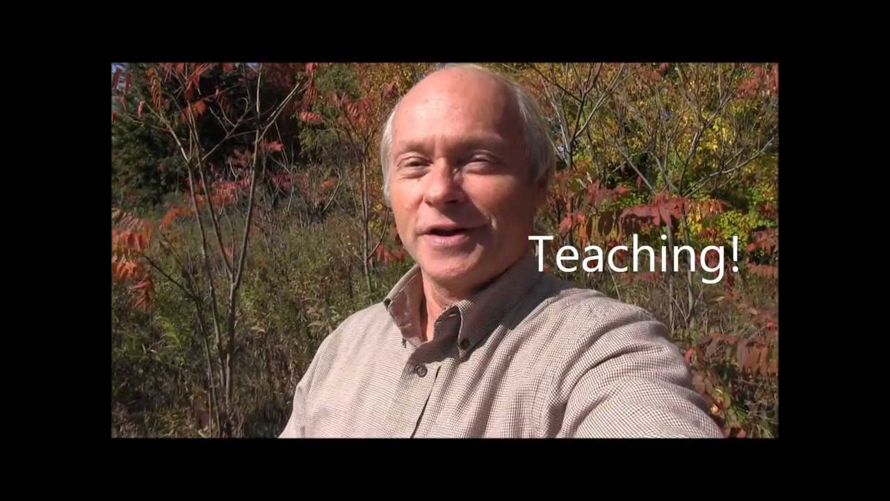 Bob The Spider Hunter