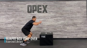 Burpee Box Jump Over