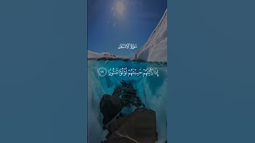 تلاوة خاشعة تهز القلوب | عَيْنًا فِيهَا تُسَمَّى سَلْسَبِيلًا | الشيخ محمد اللحيدان🪐🖤