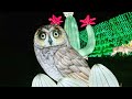 L.A. Zoo Lights: Animals Aglow presented by U.S. Bank—OFFICIAL '23 TV COMMERCIAL (:30 English)