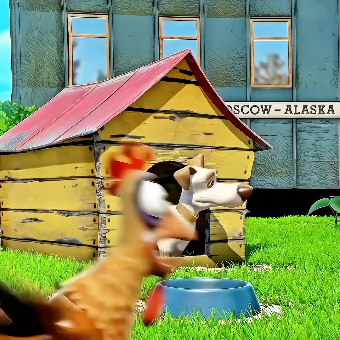 OS ANIMAIS NÃO GOSTAM DESSA MENINA - MASHA E O URSO #shorts