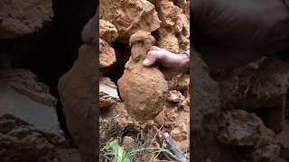 Extracting treasure from an old house//treasure Hunter/البحث عن الذهب//البحث عن الكنز//الكنز المدفون