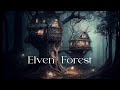 Elven forest  ethereal fantasy ambient music  relaxing beautiful meditative music