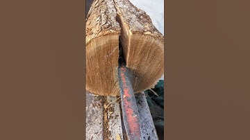 Satisfying Crisp Split Logs in Slow Motion! #shorts