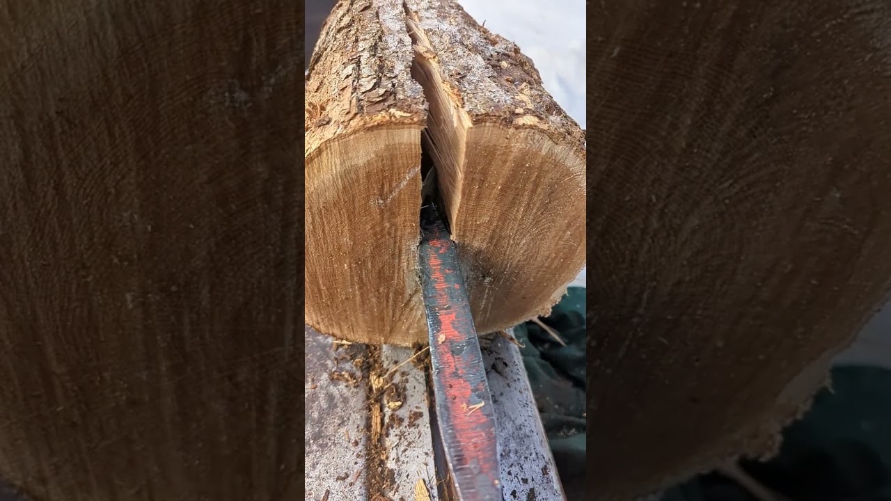 Satisfying Crisp Split Logs in Slow Motion! 